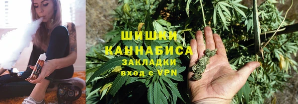 прущие грибы Вязники