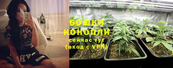 гидропоника Богданович